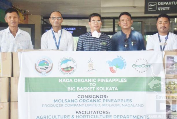 Molsang Organic Pineapples Producer Company Limited, Molvom in partnership with Agriculture and Horticulture Department, Nagaland has sent 600 kgs of pineapple through air cargo from Dimapur to Big Basket Kolkata on August 4. (DIPR Photo)